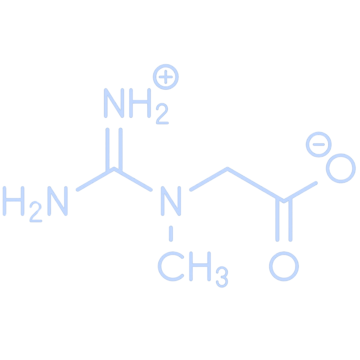 Creatine molecule